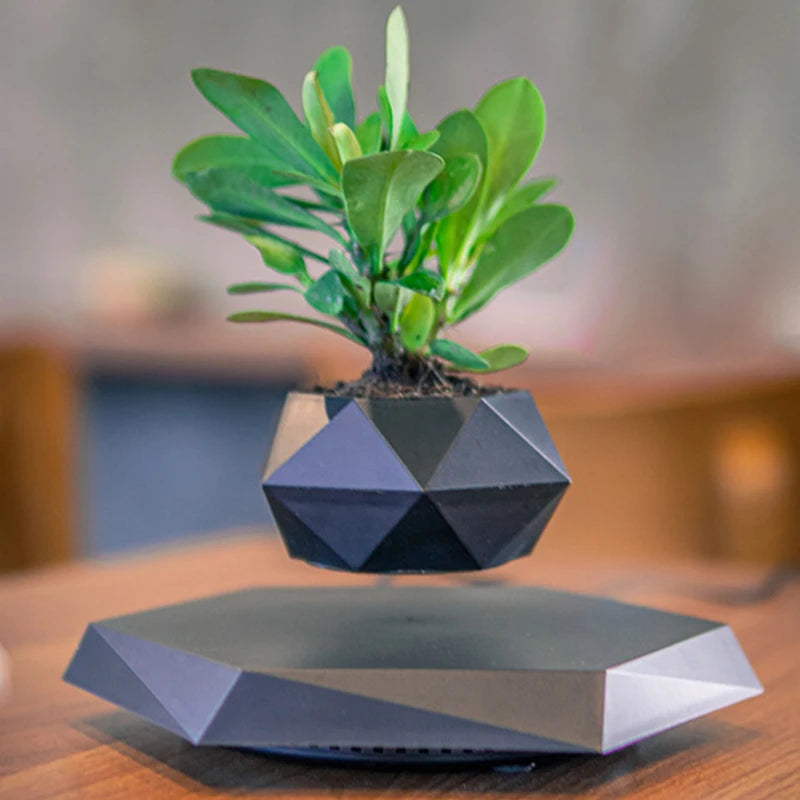 Novelty Levitation Flowerpot | Geometric Planter | skylinedesignshop